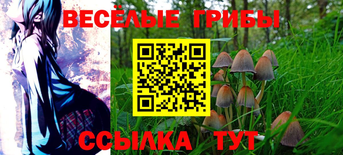 Егорьевск  где купить наркотик  Вход с VPN  Псилоцибиновые грибы Magic Shrooms 